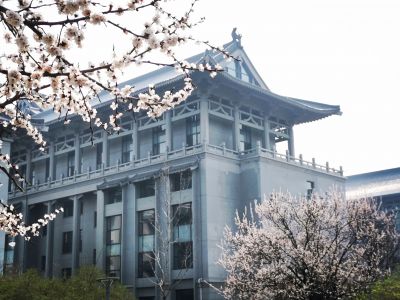 城市