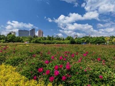 城市