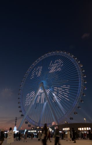 城市