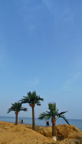 春季