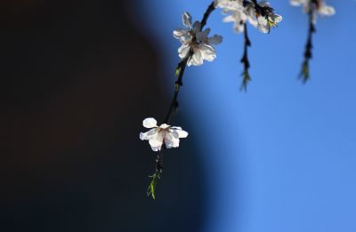 城市