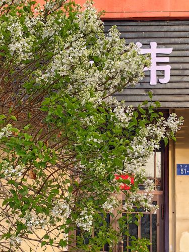 春季城市