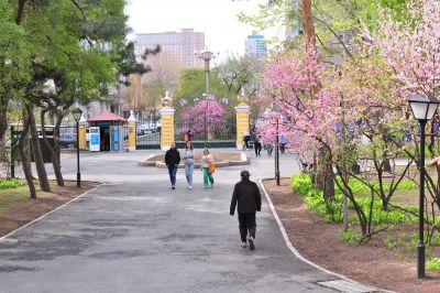 春季城市