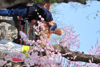 春季城市