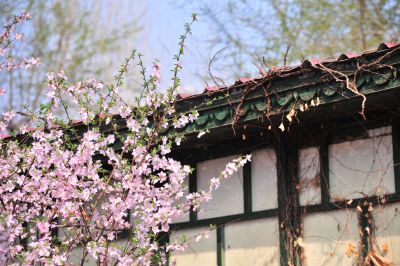 春季城市