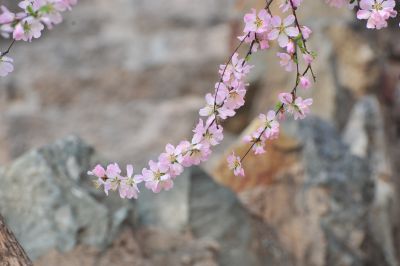 春季城市