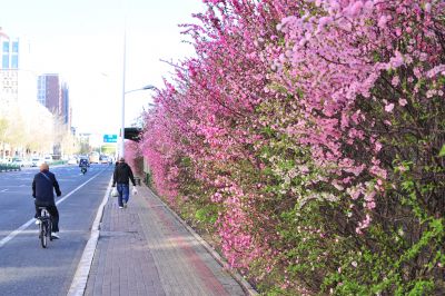 春季城市