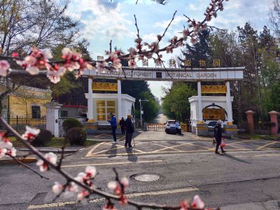 春季城市