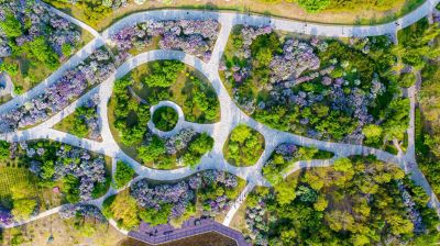 城市