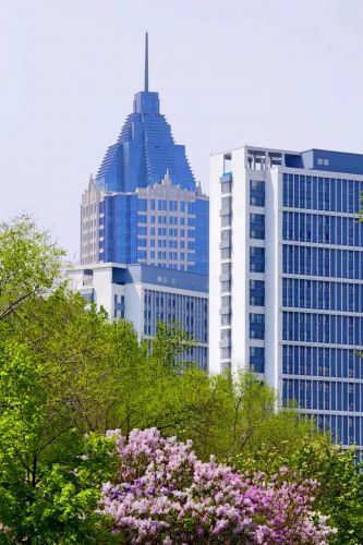 城市
