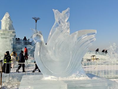 城市