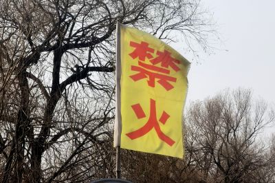 城市