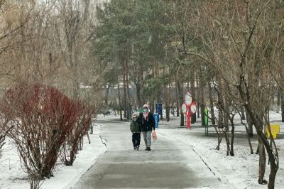 城市