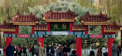 春季城市