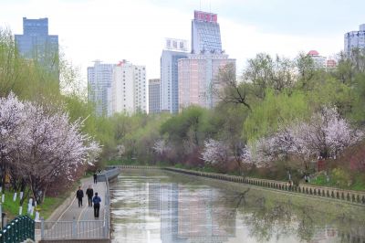 春季城市