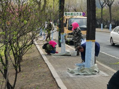 春季城市
