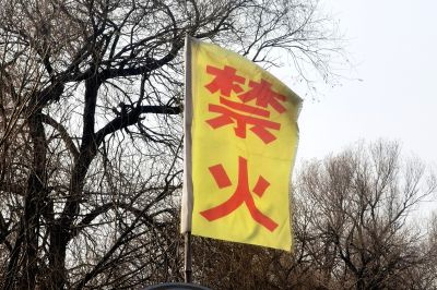 春季城市