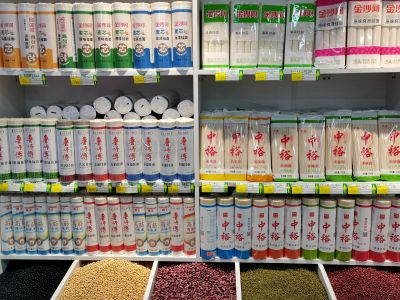 春季城市