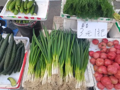 春季城市