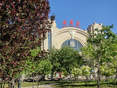 城市
