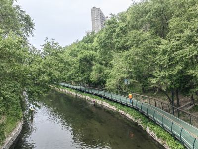城市