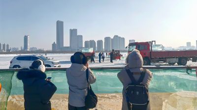 城市