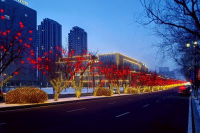 城市