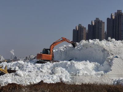 城市