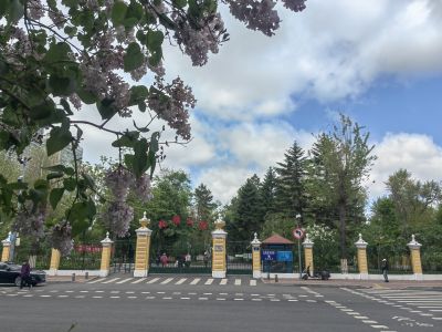 城市