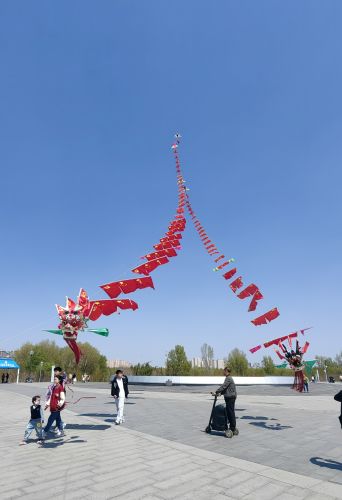 城市