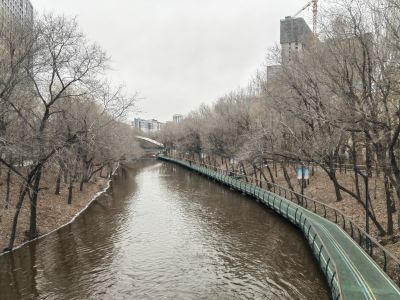 城市
