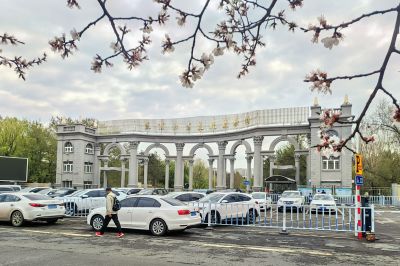 城市