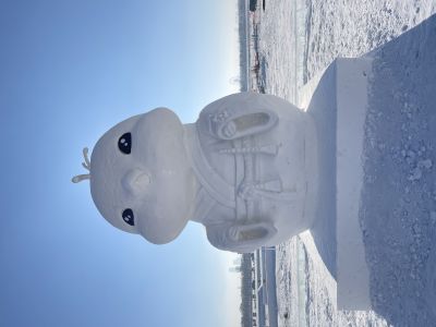 城市