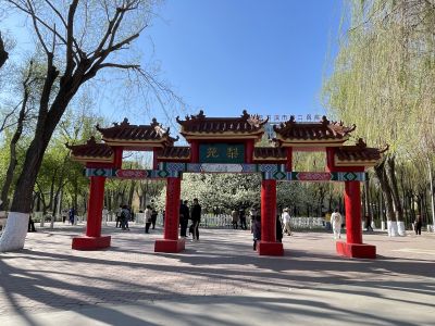 城市
