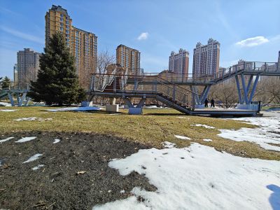 城市
