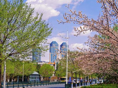 春季城市