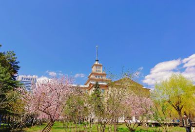 春季城市