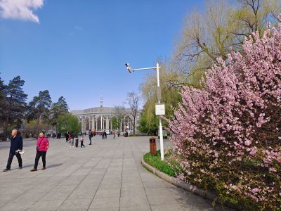 春季城市