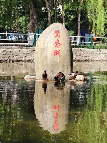 春季城市