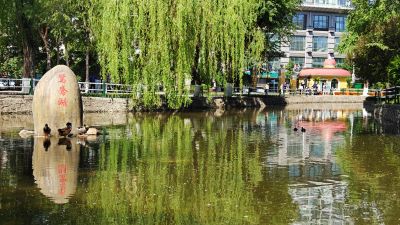 春季城市