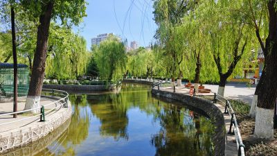 春季城市