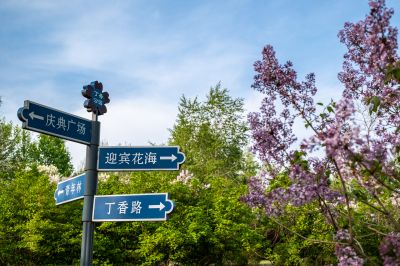 春季城市