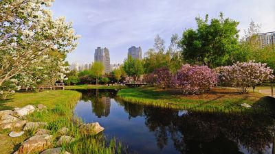 春季城市