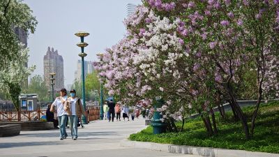 春季城市