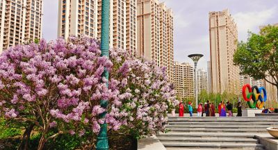 春季城市