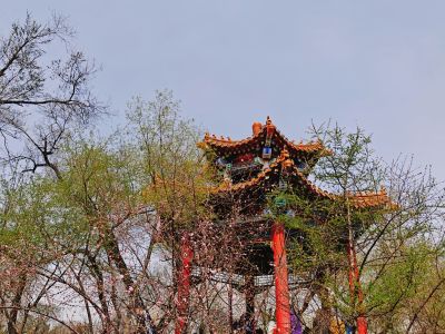 春季城市
