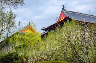 春季城市