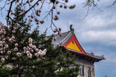春季城市