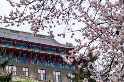 春季城市