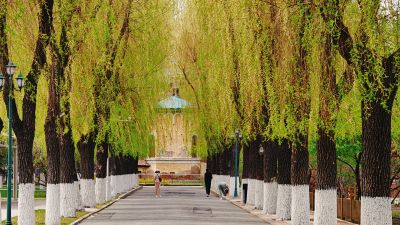 春季城市
